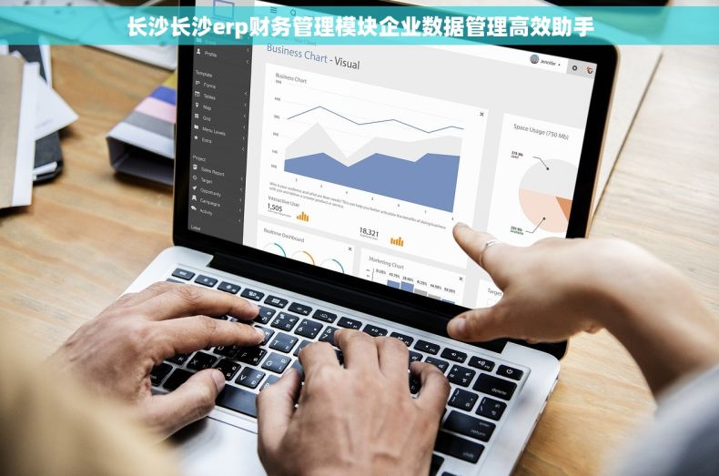长沙长沙erp财务管理模块企业数据管理高效助手