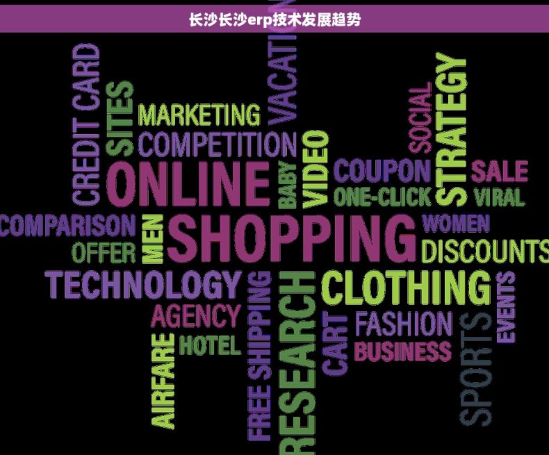 长沙长沙erp技术发展趋势
