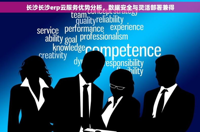 长沙长沙erp云服务优势分析，数据安全与灵活部署兼得