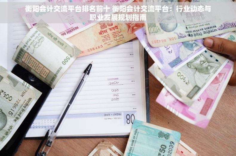 衡阳会计交流平台排名前十 衡阳会计交流平台：行业动态与职业发展规划指南