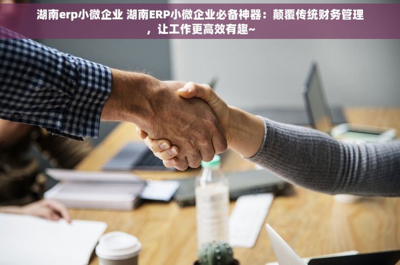 湖南erp小微企业 湖南ERP小微企业必备神器：颠覆传统财务管理，让工作更高效有趣~