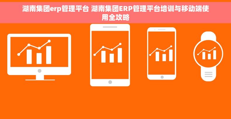 湖南集团erp管理平台 湖南集团ERP管理平台培训与移动端使用全攻略