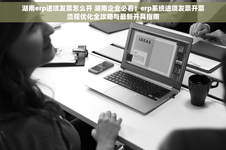 湖南erp进项发票怎么开 湖南企业必看！erp系统进项发票开票流程优化全攻略与最新开具指南
