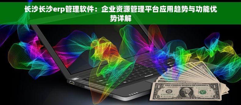 长沙长沙erp管理软件：企业资源管理平台应用趋势与功能优势详解