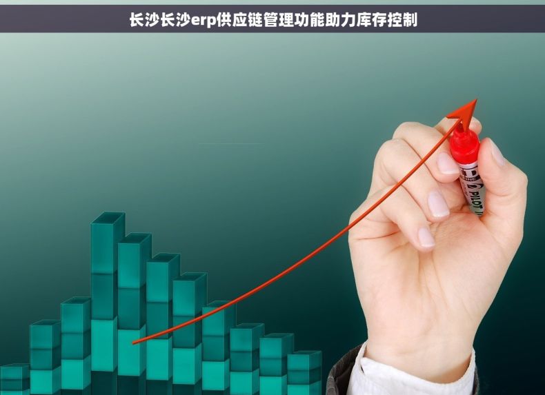 长沙长沙erp供应链管理功能助力库存控制