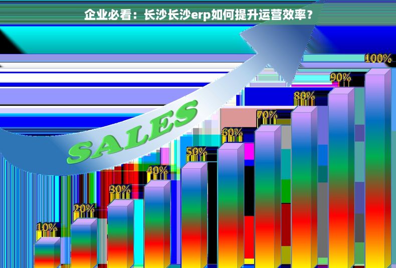 企业必看：长沙长沙erp如何提升运营效率？