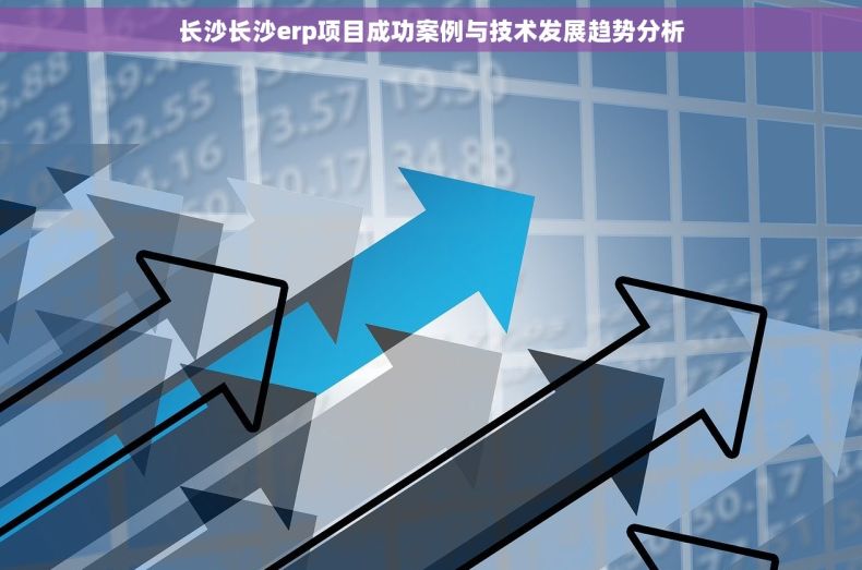 长沙长沙erp项目成功案例与技术发展趋势分析
