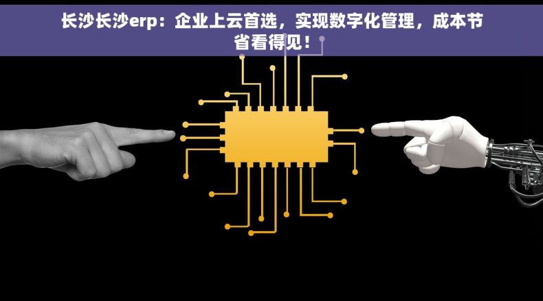 长沙长沙erp：企业上云首选，实现数字化管理，成本节省看得见！