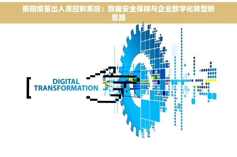 衡阳疫苗出入库控制系统：数据安全保障与企业数字化转型新思路
