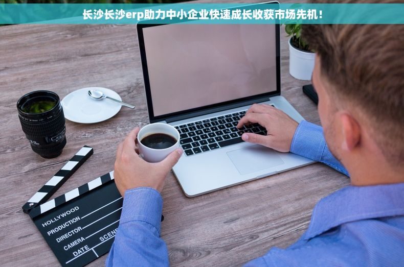长沙长沙erp助力中小企业快速成长收获市场先机！