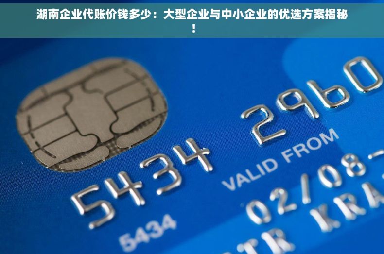 湖南企业代账价钱多少：大型企业与中小企业的优选方案揭秘！