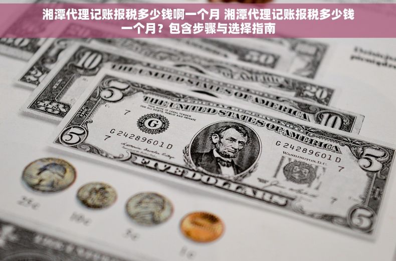 湘潭代理记账报税多少钱啊一个月 湘潭代理记账报税多少钱一个月？包含步骤与选择指南