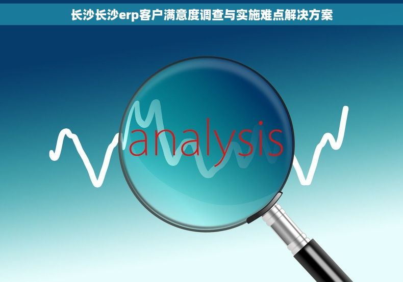 长沙长沙erp客户满意度调查与实施难点解决方案
