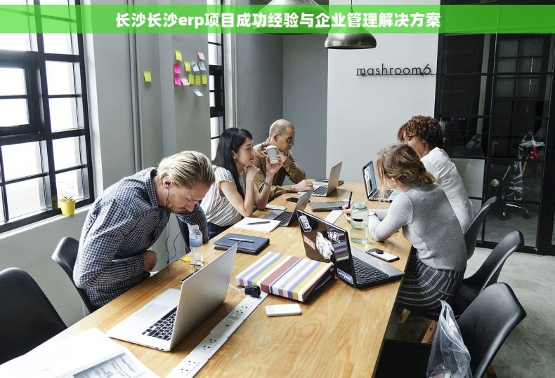 长沙长沙erp项目成功经验与企业管理解决方案