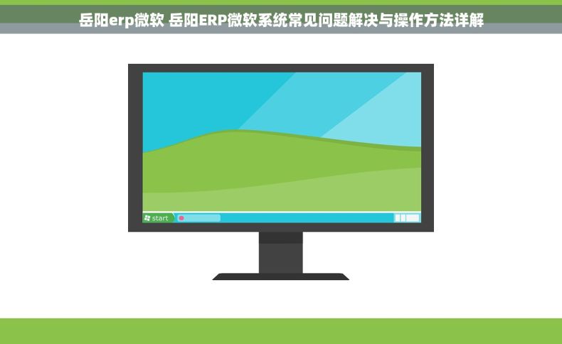 岳阳erp微软 岳阳ERP微软系统常见问题解决与操作方法详解