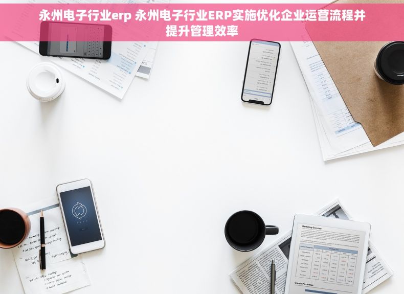 永州电子行业erp 永州电子行业ERP实施优化企业运营流程并提升管理效率
