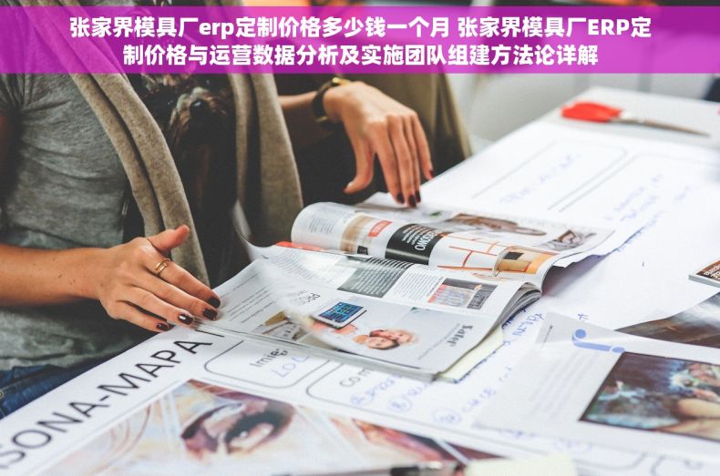 张家界模具厂erp定制价格多少钱一个月 张家界模具厂ERP定制价格与运营数据分析及实施团队组建方法论详解