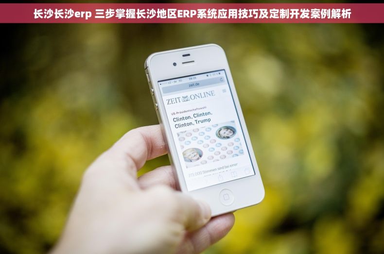 长沙长沙erp 三步掌握长沙地区ERP系统应用技巧及定制开发案例解析