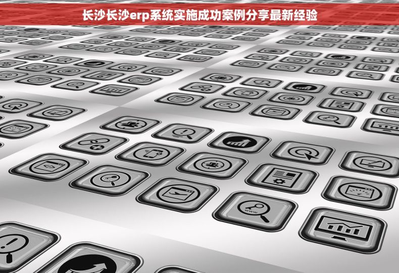 长沙长沙erp系统实施成功案例分享最新经验