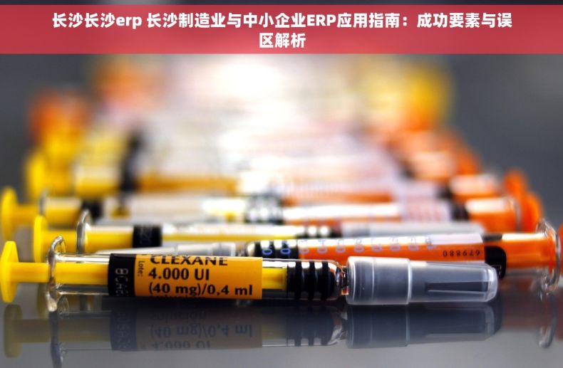 长沙长沙erp 长沙制造业与中小企业ERP应用指南：成功要素与误区解析