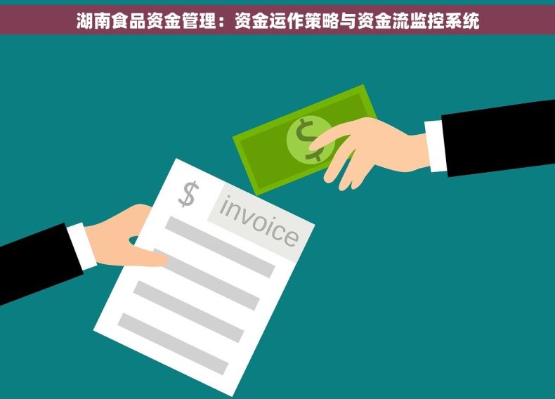 湖南食品资金管理：资金运作策略与资金流监控系统