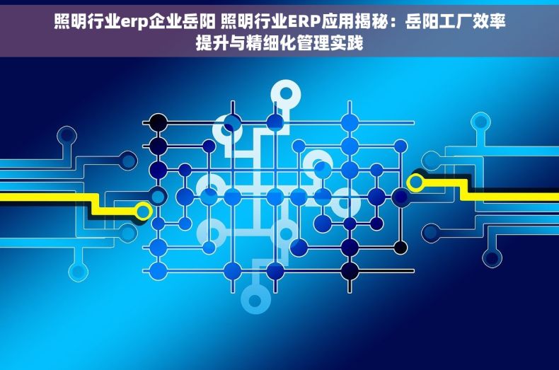 照明行业erp企业岳阳 照明行业ERP应用揭秘：岳阳工厂效率提升与精细化管理实践