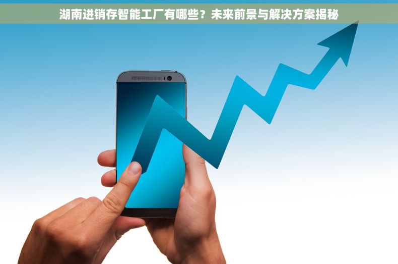 湖南进销存智能工厂有哪些？未来前景与解决方案揭秘