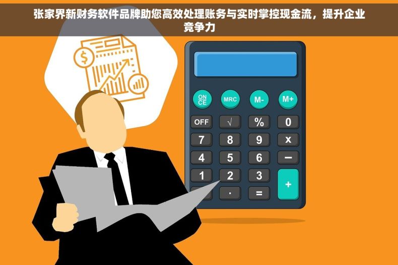 张家界新财务软件品牌助您高效处理账务与实时掌控现金流，提升企业竞争力