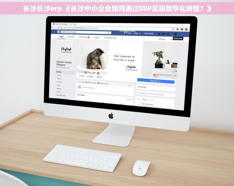 长沙长沙erp 《长沙中小企业如何通过ERP实现数字化转型？》