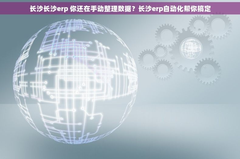 长沙长沙erp 你还在手动整理数据？长沙erp自动化帮你搞定