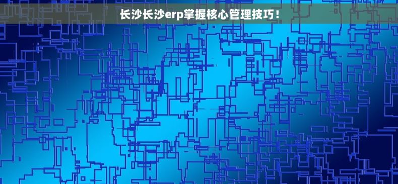 长沙长沙erp掌握核心管理技巧！