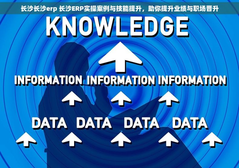 长沙长沙erp 长沙ERP实操案例与技能提升，助你提升业绩与职场晋升