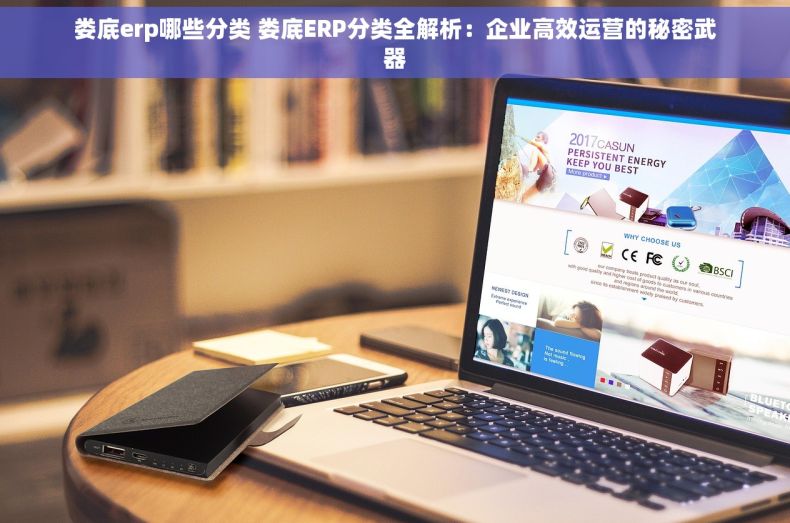 娄底erp哪些分类 娄底ERP分类全解析：企业高效运营的秘密武器
