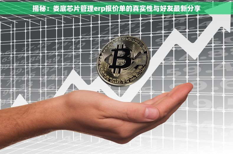 揭秘：娄底芯片管理erp报价单的真实性与好友最新分享