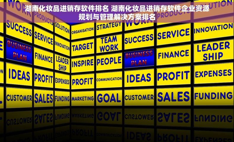 湖南化妆品进销存软件排名 湖南化妆品进销存软件企业资源规划与管理解决方案排名