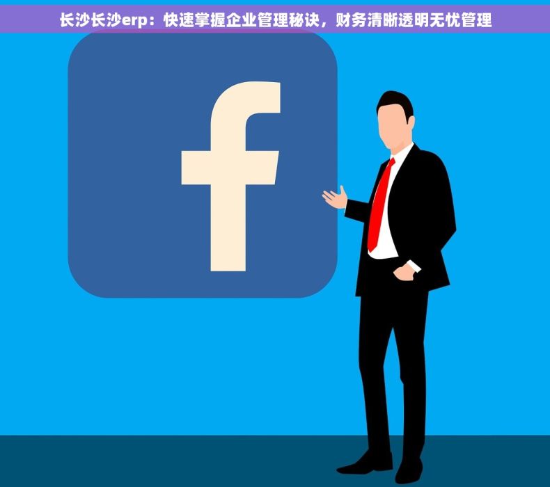 长沙长沙erp：快速掌握企业管理秘诀，财务清晰透明无忧管理