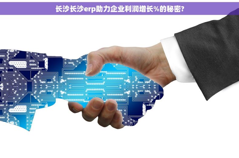 长沙长沙erp助力企业利润增长%的秘密?