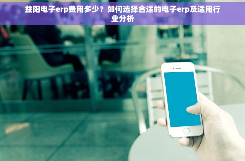 益阳电子erp费用多少？如何选择合适的电子erp及适用行业分析