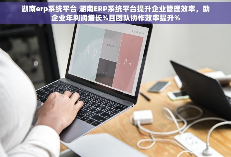 湖南erp系统平台 湖南ERP系统平台提升企业管理效率，助企业年利润增长%且团队协作效率提升%