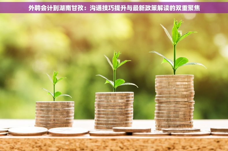 外聘会计到湖南甘孜：沟通技巧提升与最新政策解读的双重聚焦