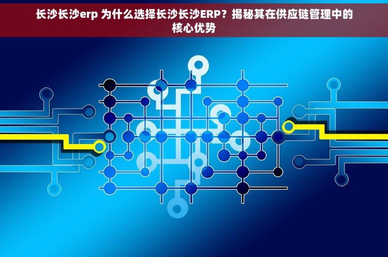 长沙长沙erp 为什么选择长沙长沙ERP？揭秘其在供应链管理中的核心优势