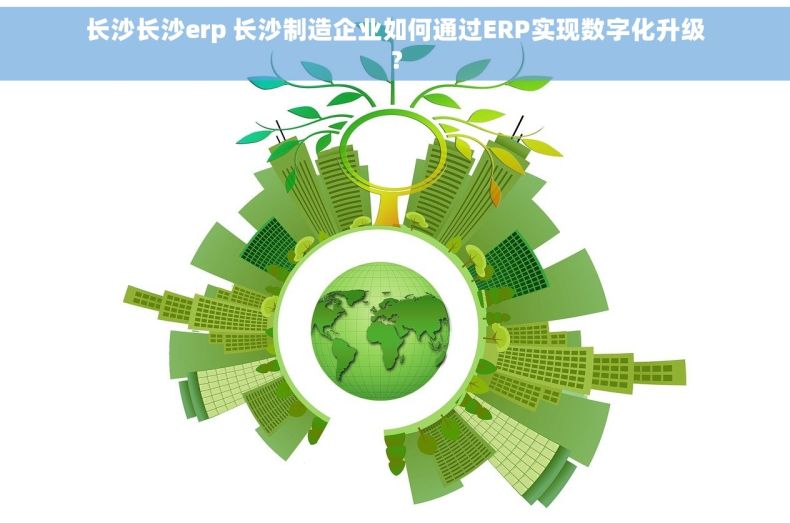 长沙长沙erp 长沙制造企业如何通过ERP实现数字化升级？