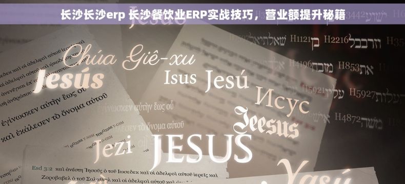 长沙长沙erp 长沙餐饮业ERP实战技巧，营业额提升秘籍
