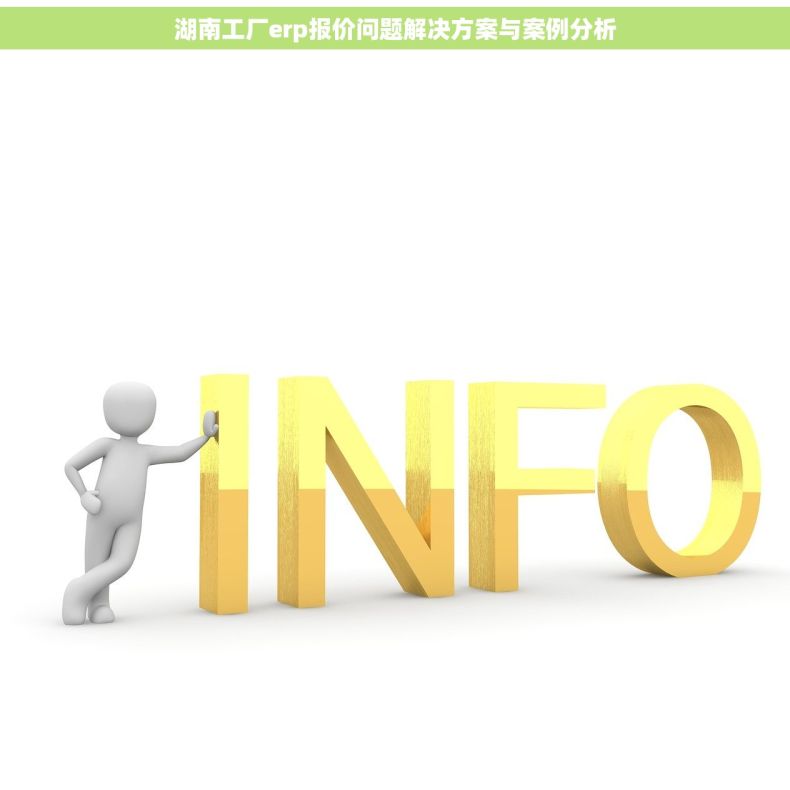湖南工厂erp报价问题解决方案与案例分析
