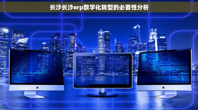 长沙长沙erp数字化转型的必要性分析