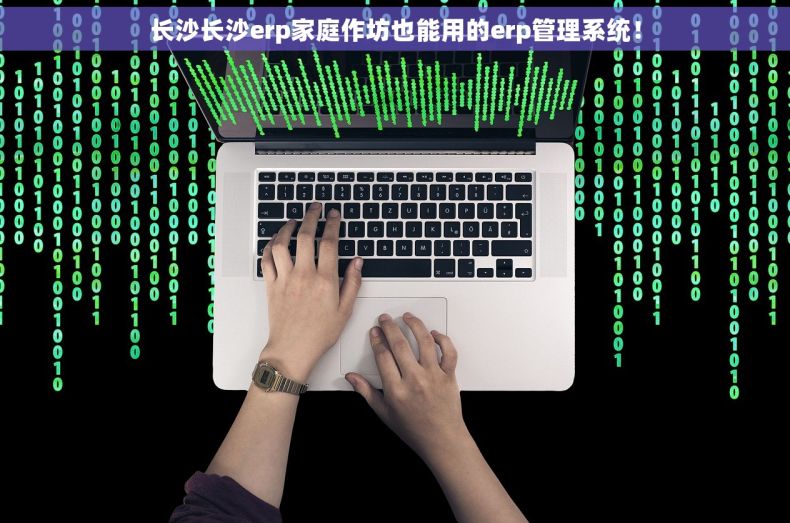 长沙长沙erp家庭作坊也能用的erp管理系统！