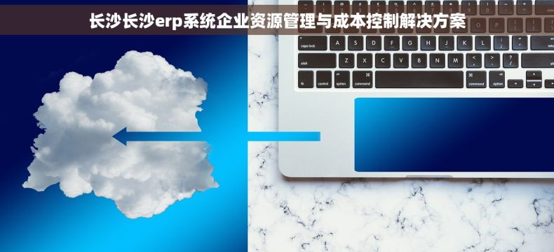 长沙长沙erp系统企业资源管理与成本控制解决方案