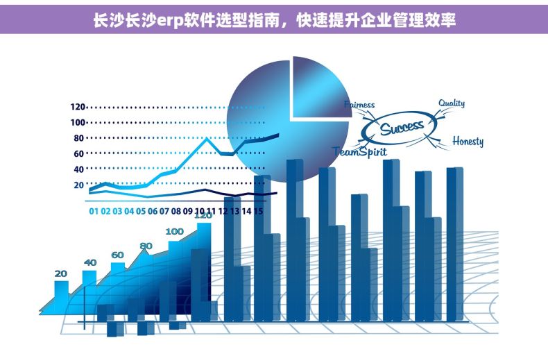 长沙长沙erp软件选型指南，快速提升企业管理效率