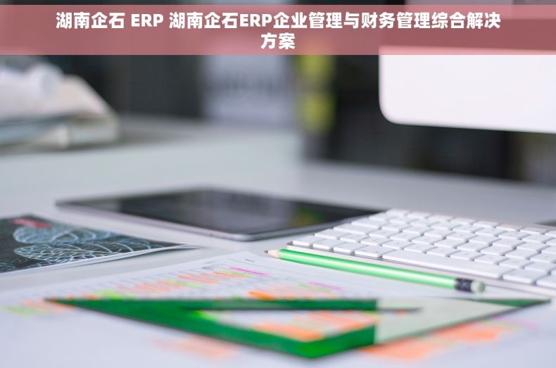 湖南企石 ERP 湖南企石ERP企业管理与财务管理综合解决方案