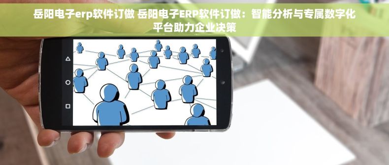岳阳电子erp软件订做 岳阳电子ERP软件订做：智能分析与专属数字化平台助力企业决策